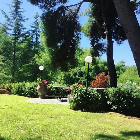 Sani Citrine With Shared Pool